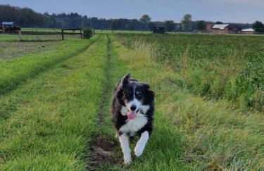 Ferienwohnung Poczewski - Foto 20
