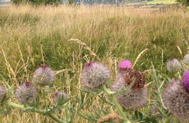 Cotswolds Retreat - Foto 10