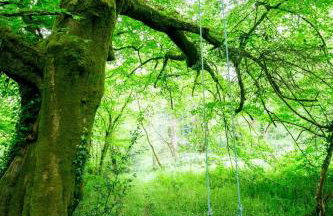 Puddleduck Valley - Dog Friendly - Foto 77