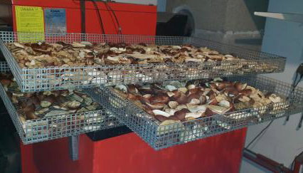 Monti Domki całoroczne - Foto 5