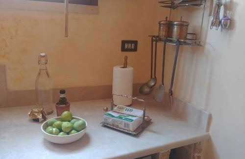 Masseria La Maestà - Ospitalità Rurale Famigliare - Foto 101