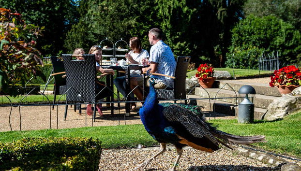 Merienda en los Jardines del Castillo de Warwick