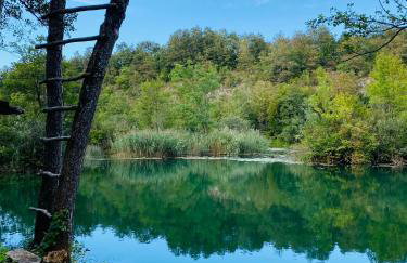 Mrežnica - Zelena oaza I - Foto 30