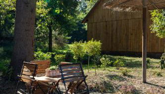 Kiefer -Ferienwohnung in Dötlingen mit Waldblick - Photo 4