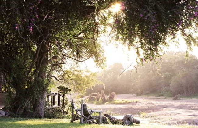 Motswari Private Game Reserve by Newmark - Foto 1