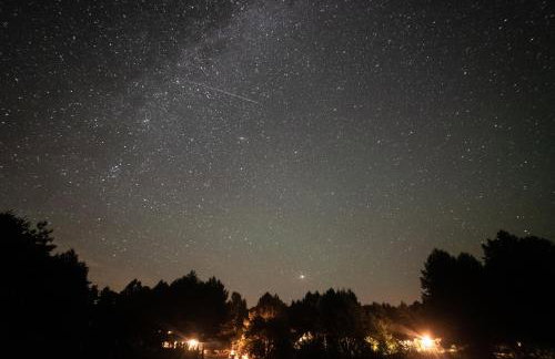 Maciejówka Borki 33 - Foto 23