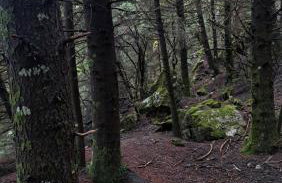 Wood Cabins by the River - for Nature Lovers - Photo 70