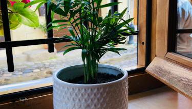 Apartamento Rural Val de Xálima - Foto 2