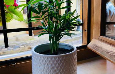 Apartamento Rural Val de Xálima - Foto 2