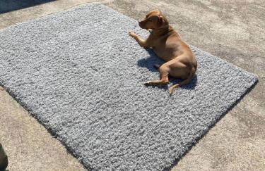 Massive 4 bedroom home Sleeps 19 - Foto 44