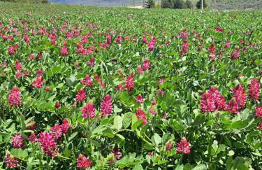 Casaparrinello Maletto Concy - Foto 6