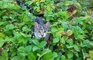 Apartament Różane Wzgórze - Foto 63