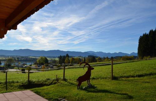 Feriendorf Via Claudia Haus 59 Gamsbock - Foto 24