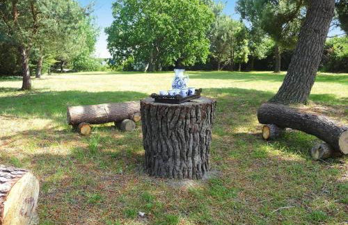 Holiday Home in Piriac Near Sandy Beach - Foto 13