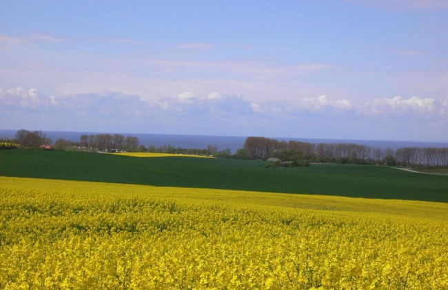 Country House Near Baltic Sea Beach - Foto 36