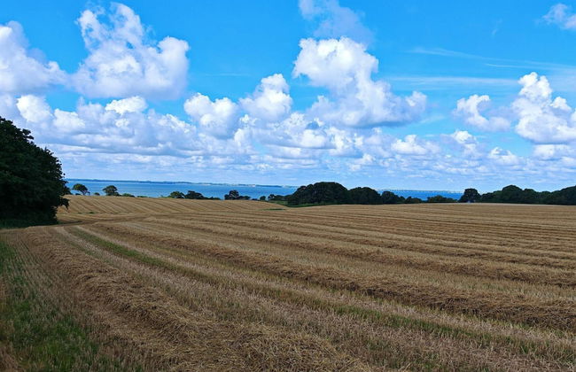 4 Person Holiday Home in Vordingborg-by Traum - Photo 6