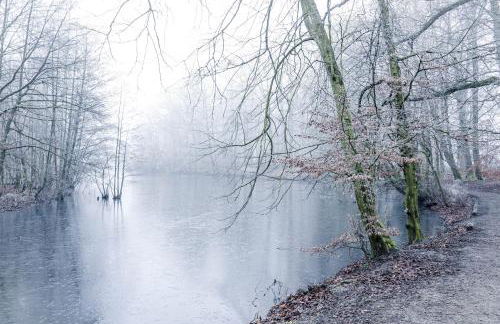Kehrein am Stadtwald 60qm Wohnung mit Garten, Balkon und Parkplatz - Foto 30
