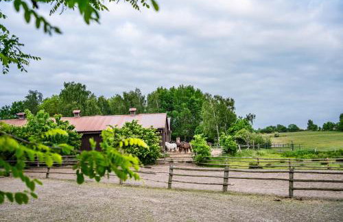 Domek hot tub jacuzzi Chillout - Foto 39