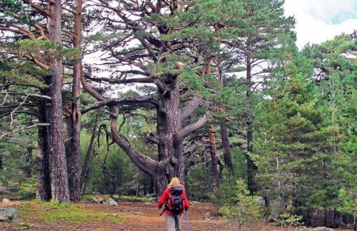 Mirador de San Matias - Foto 29