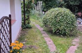 Świerkowe Ranczo Raciszewo - Foto 53