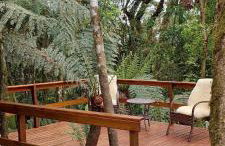 Chalés Serras House Casa Verde e Casa Laranja - Foto 19