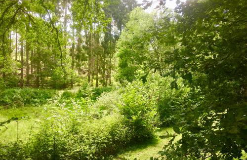 Comfort-Apartment - Foto 26