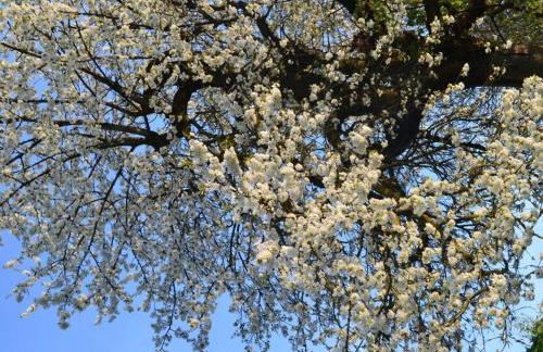 Appealing apartment with terrace - Foto 21