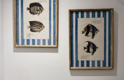 El Mirador del Susarón - Foto 16