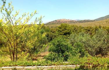 4T apartments - Foto 49