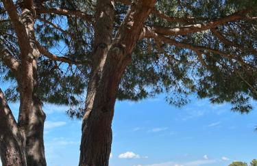 Villa Giens - Plage à pied -9 couchages - Foto 48