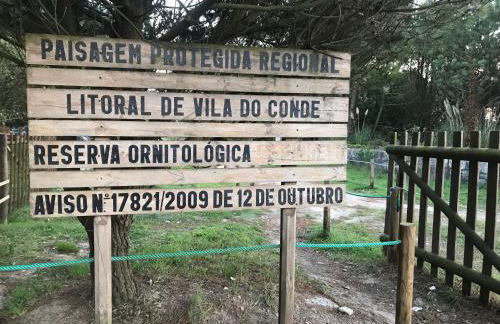 Árvore Cozy com Jardim - Foto 31