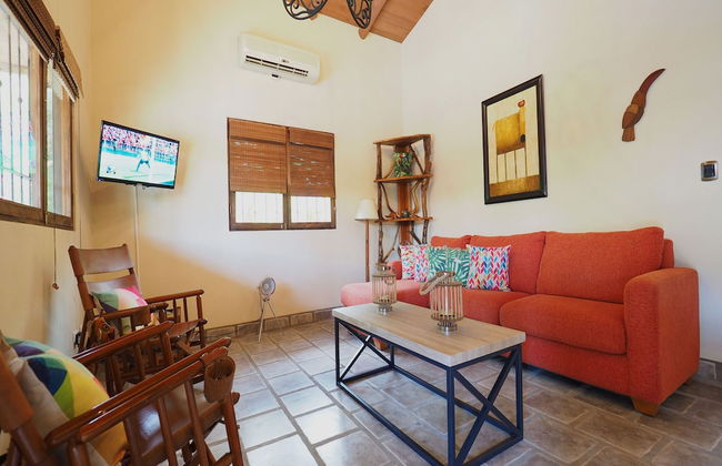 Opera Salvaje N.27 - Foto 2