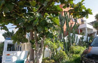 Sissi View - Photo 52