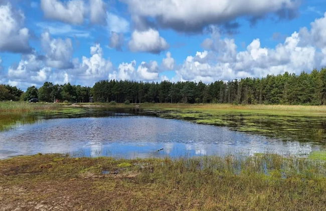 8 Person Holiday Home in Ulfborg - Foto 31