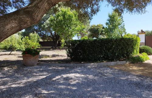 Vivienda Rural Los Madroños - Foto 21