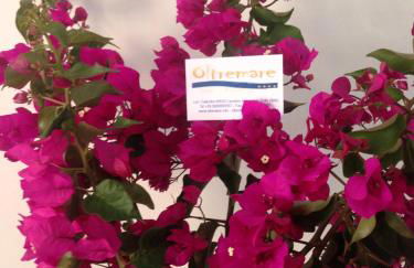 Oltremare Residence Hotel - Foto 45