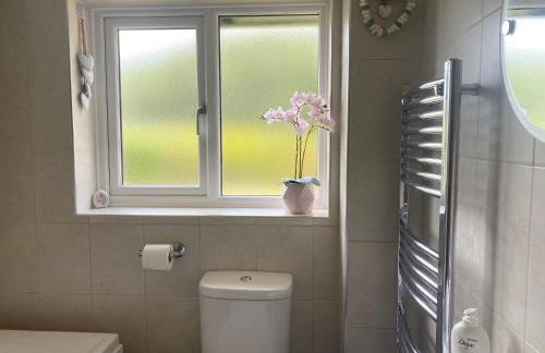 Buena Vista - Foto 19