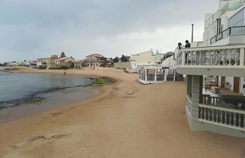 La Vite Americana - Foto 17