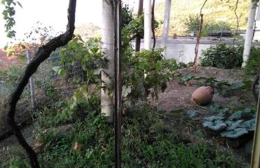 MATAS HOUSE - Foto 10