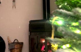 Forrest Guesthouse - Foto 65