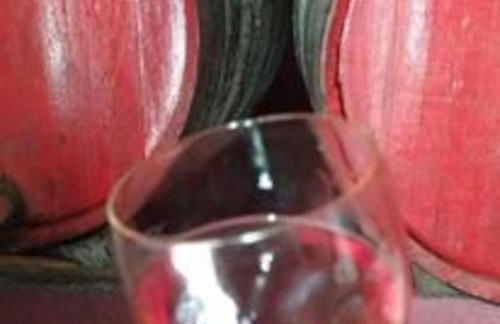 Casa do Vale - DOURO - Foto 25