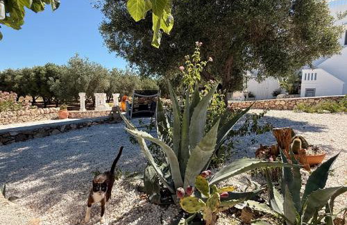 Casa alle Colonne - Photo 29