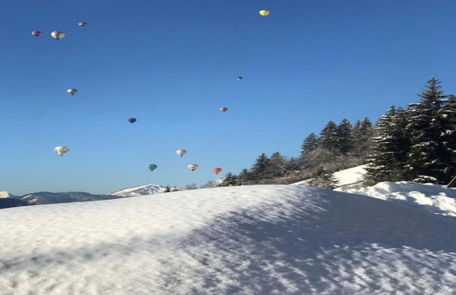 Stylish Chalet in Charming Megeve - Photo 35