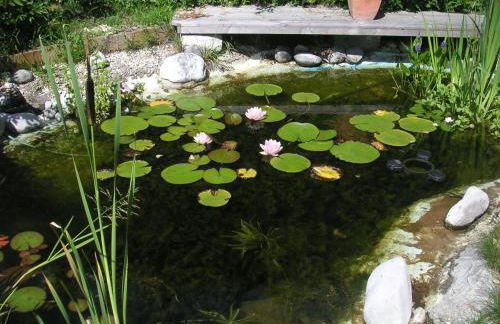 My sweet home Aptm 80 qm - Foto 14