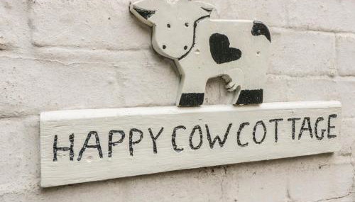 Happy Cow - Foto 3