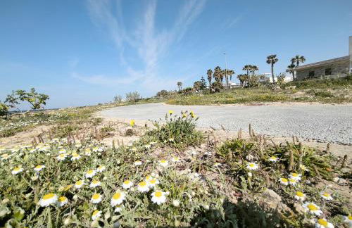 Perla Salentina Fronte mare Puglia On line - Foto 43