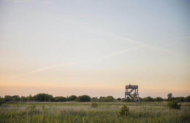 Holiday Home in Donkerbroek Near Forest Trails - Foto 39