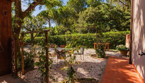 Casal Toscano - Foto 5, Garden