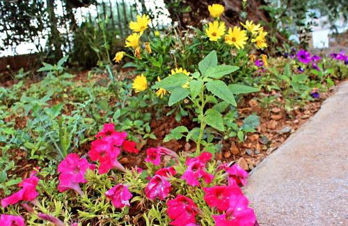 SUNSET Luxury Accommodation - Foto 38