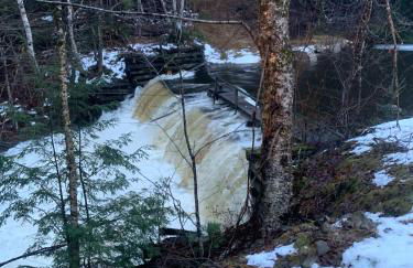 Chalet on Private Alderbrook Lake - Foto 36